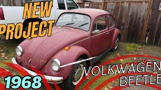 Restoring a 1968 Volkswagen Beetle: New Project Begins!