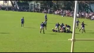 Paarl Boys v Bosch