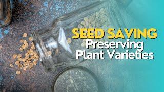 Seed Saving: Preserving Plant Varieties