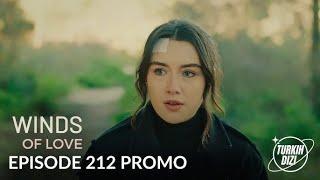 RÜZGARLI TEPE 212 - Is Zeynep saved?