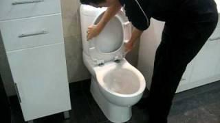 Romantica toilet and Elite soft close seat