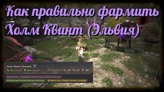 Black Desert / BD: Как правильно фармить Холм Квинт (Эльвия Кальфеон)