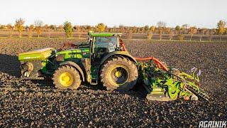 John Deere 6215R + Amazone Combined Seeder | Wheat Sowing 2023 | Gobbo