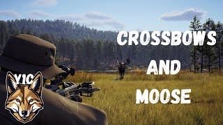 Moose Hunt With A Crossbow! | Way of the Hunter