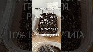 Обзор всходов и рецепт моего грунта #грунтдлярассады #микориза #уходзарассадой #петунияизсемян