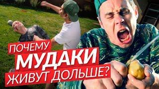 ПОЧЕМУ МУДАКИ ЖИВУТ ДОЛЬШЕ? — ТОПЛЕС