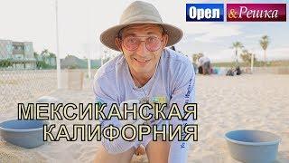 Орел и решка. Морской сезон 2 - Мексиканская Калифорния | (FullHD) - Интер