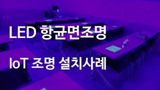 울산 신복 도서관에는 항균조명이 설치되어 있어요(울산 삼화테크 항균등+에스알테크 IoT)