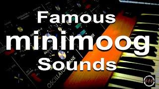 Famous Minimoog Sounds