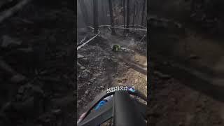 Stupid crash #mtb #fail
