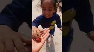    strawberry #gardening #gardening #youtubeshorts