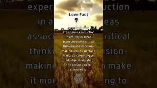Crazy love fact. Did you know this? #psychologyfacts #lovefacts #love #fancy #dailyfacts #science