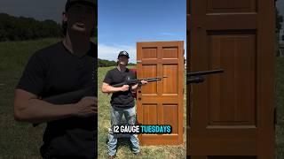 Solid Wood Door vs 12 Gauge