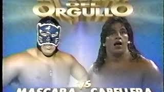 Blue Panther vs. Love Machine - Mask vs. Hair