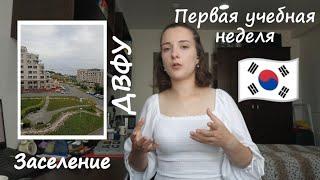 ДВФУ /заселение/первая учебная неделя /корейский