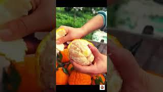 Amazing Food Video! #explore #streetfood #foodievlogger #foodchannel #food #foodievlog #foodvideo