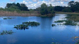 Snake Warrior’s Island Natural Area