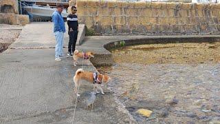 Raya tells Suki not to be afraid of the sea