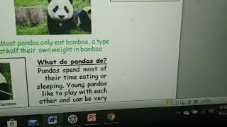 03.04.20 Year 5 English Non-chronological reports with a panda