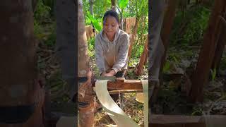 #naturallife #farming #farmingtraditions #fruitcultivation #ruralliving #farming101 #satisfying