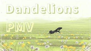 Dandelions (Cinderpelt/Sandstorm PMV)