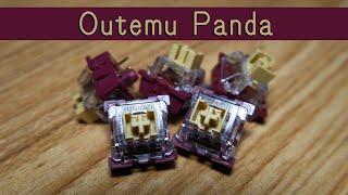 Outemu Panda review | An Impressive Clone!