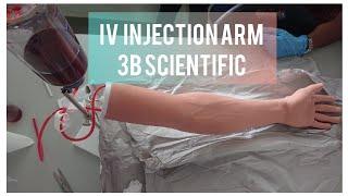 IV Injection Arm | 3B Scientific |