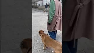 Прощай ЗООАГРЕССИЯ