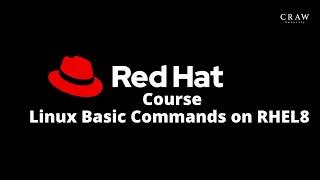 RedHat Full Course Online Classes in English | Linux Basic Commands on RHEL8 | Class -3