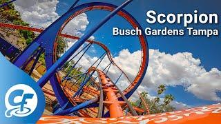 Scorpion front seat on-ride 5K POV @60fps Busch Gardens Tampa