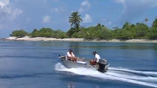 Chasse sous marine en Polynésie