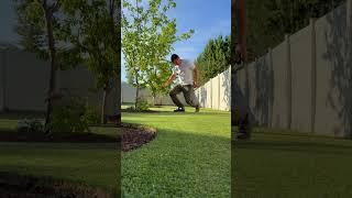 Turning my lawn into a golf putting green #lawncare