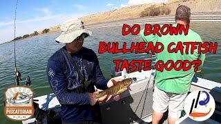 Brown Bullhead Catfish Bonanza | Pot Holes Reservoir | Collaboration | August 2022