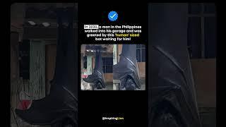 He walked into his garage and found a bat the size of a human hanging from the ceiling! 
