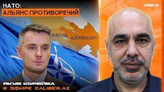 НАТО: альянс противоречий. Якуб Корейба в эфире Caliber.Az