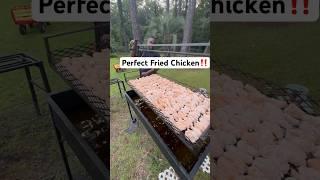 Perfect fried chicken ‼️‼️ #explore #explorepage #foodblogger #foryourpage #foryou #fypシ゚ #foodie