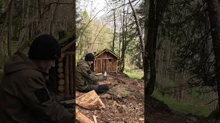 Building a Log Cabin part 12/15