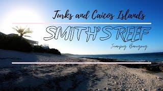 SMITH'S REEF | Turks and caicos Islands
