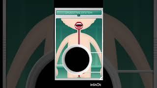 Digestive system #neet #medico