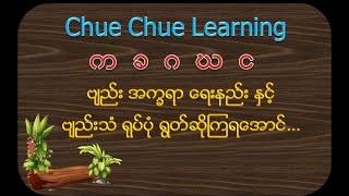 က  ခ  ဂ  ဃ  င ( ‌ဗ်ည္း အကၡရာ ေရးနည္း ႏွင့္ဗ်ည္းသံ ရုပ္ပံု ရြတ္ဆိုၾကရေအာင္…)