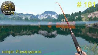 Первые трофеи и первые неудачи. Озеро Изумрудное. # 181.  Прохождение Atom Fishing II