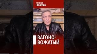 Повелитель американских горок #невзоров