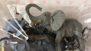 Elephant Zoo Safari Animals ASMR Unboxing collectable