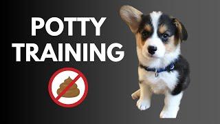 Corgi Training Guide: Part 10 - HOW to POTTY TRAIN Your PUPPY