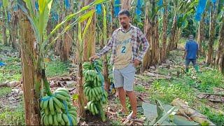 harvest time mga ka agri