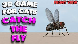 3D game for cats | CATCH THE FLY (front view) | 4K, 60 fps, stereo sound