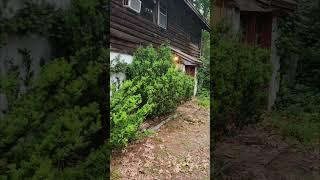 Granted, I don't have the nicest looking house or yard, but it's mine. #middletonma #campingasmr