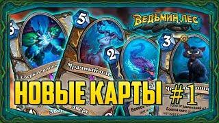 4 НОВЫЕ КАРТЫ дополнения ВЕДЬМИН ЛЕС. Моё мнение.(Hearthstone)