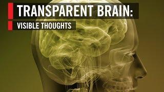 Transparent Brain: Visible Thoughts