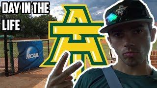 LIFE OF A COLLEGE BASEBALL PLAYER (Stephen Knez)